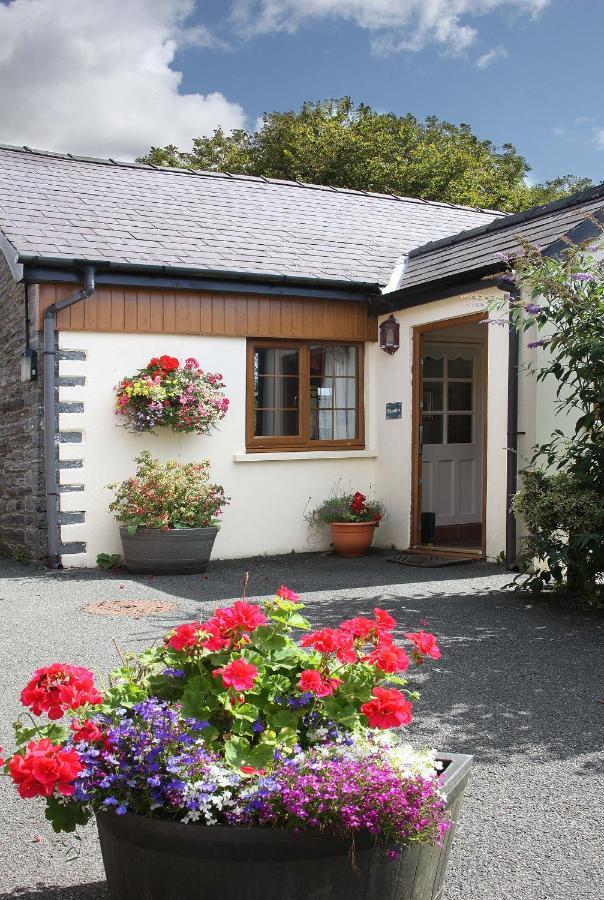 Croft Farm & Celtic Cottages Cardigan Exterior photo